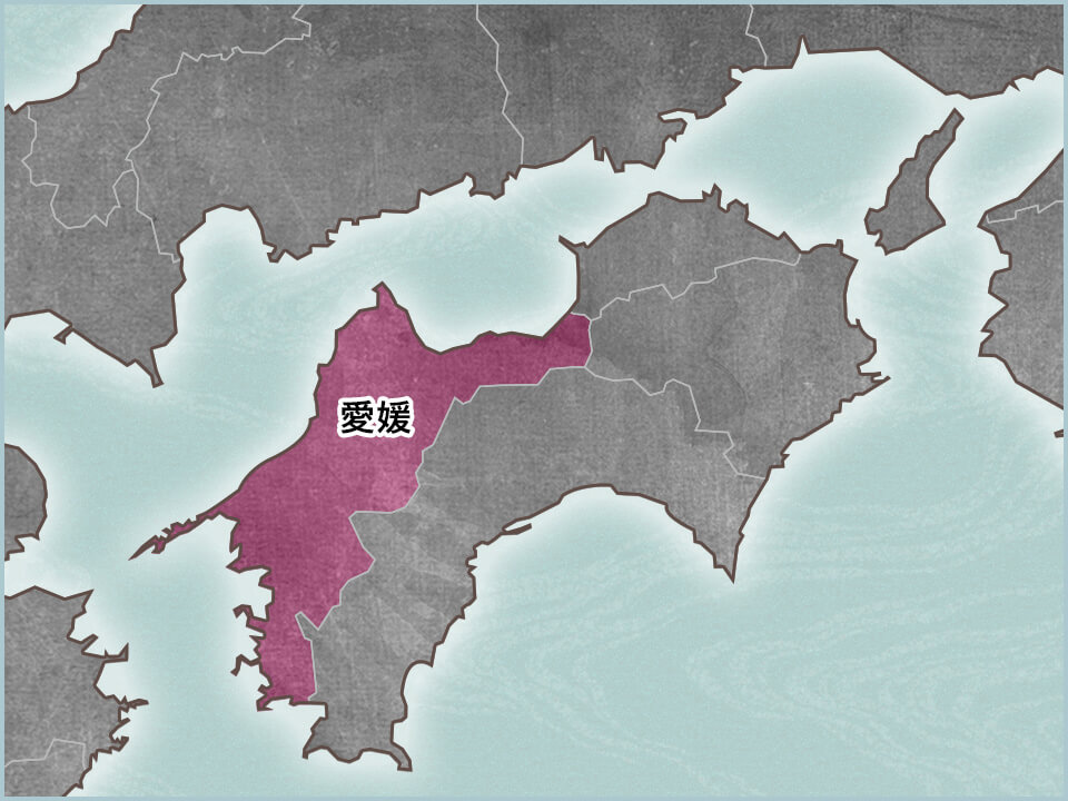 愛媛県の地図