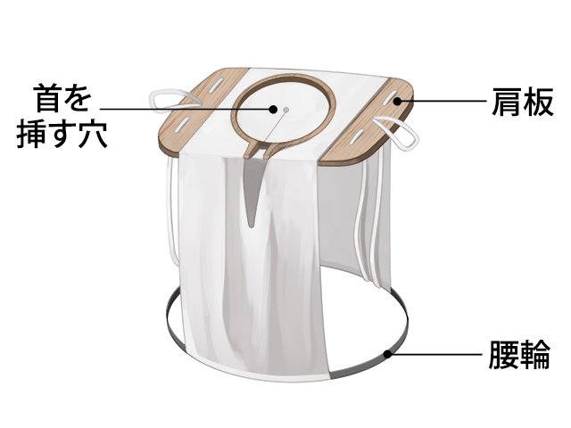 胴の構造